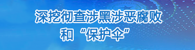 深挖彻查涉黑涉恶腐败和保护伞